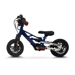 Fury Pro-X FS 12in 36V