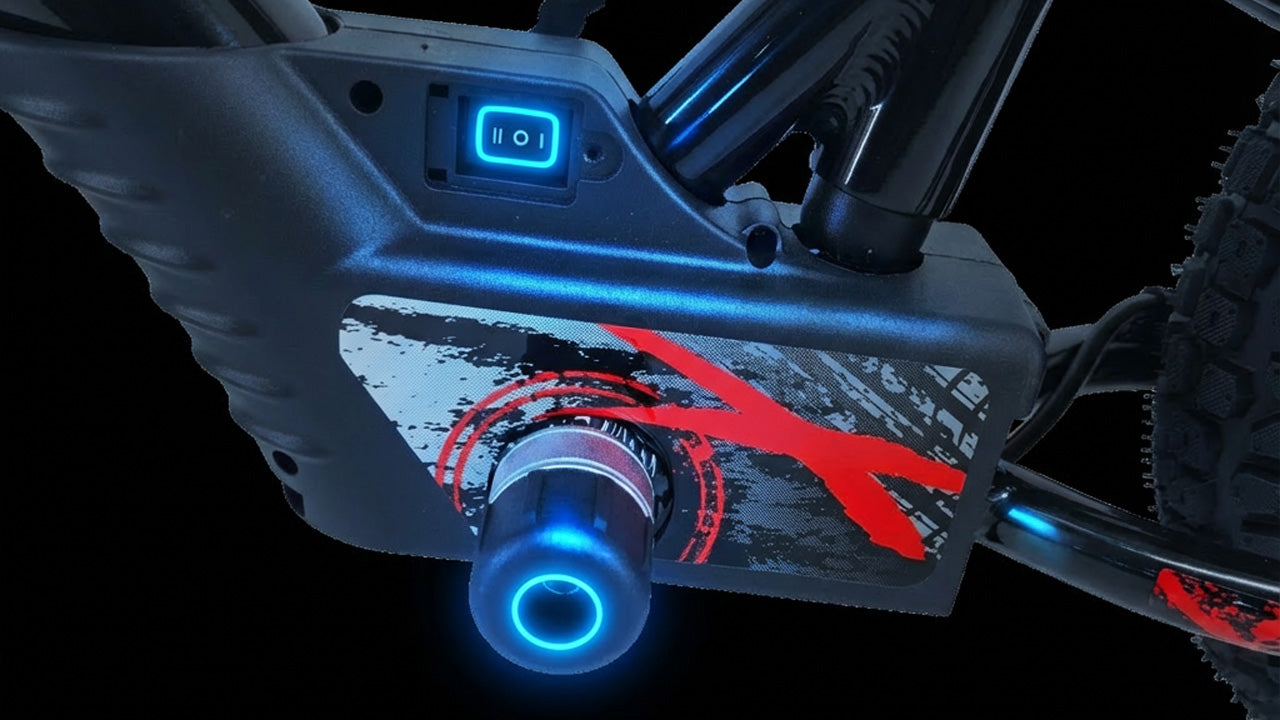 Speed Switch & Foot Pegs